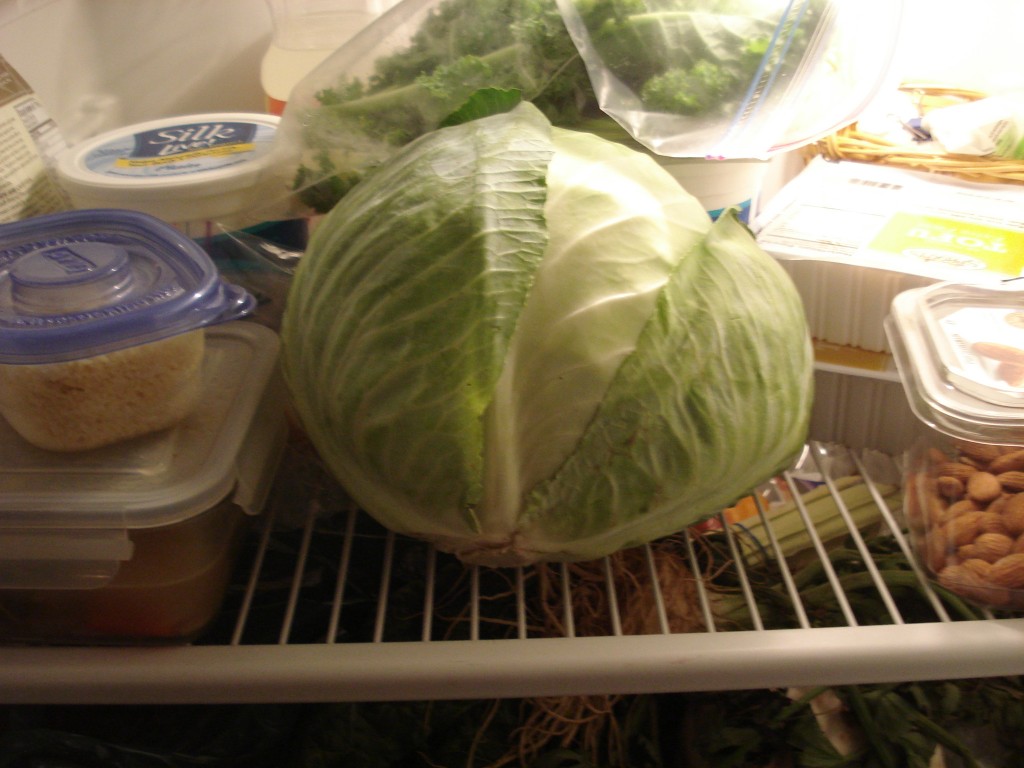 cabbage 001