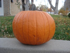 pumpkin
